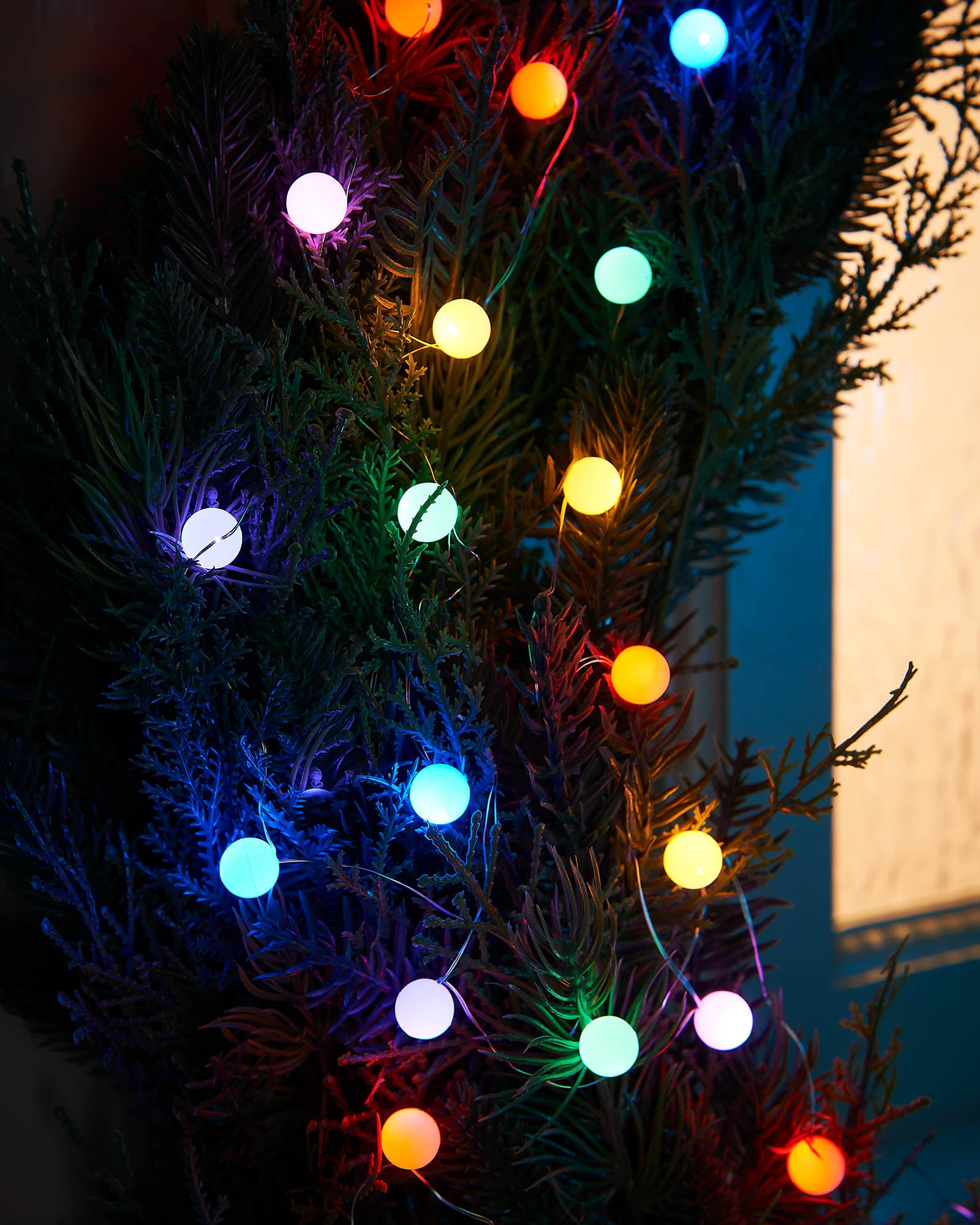 80 Micro LED Berry Lights, Multi-Coloured, 6 m
