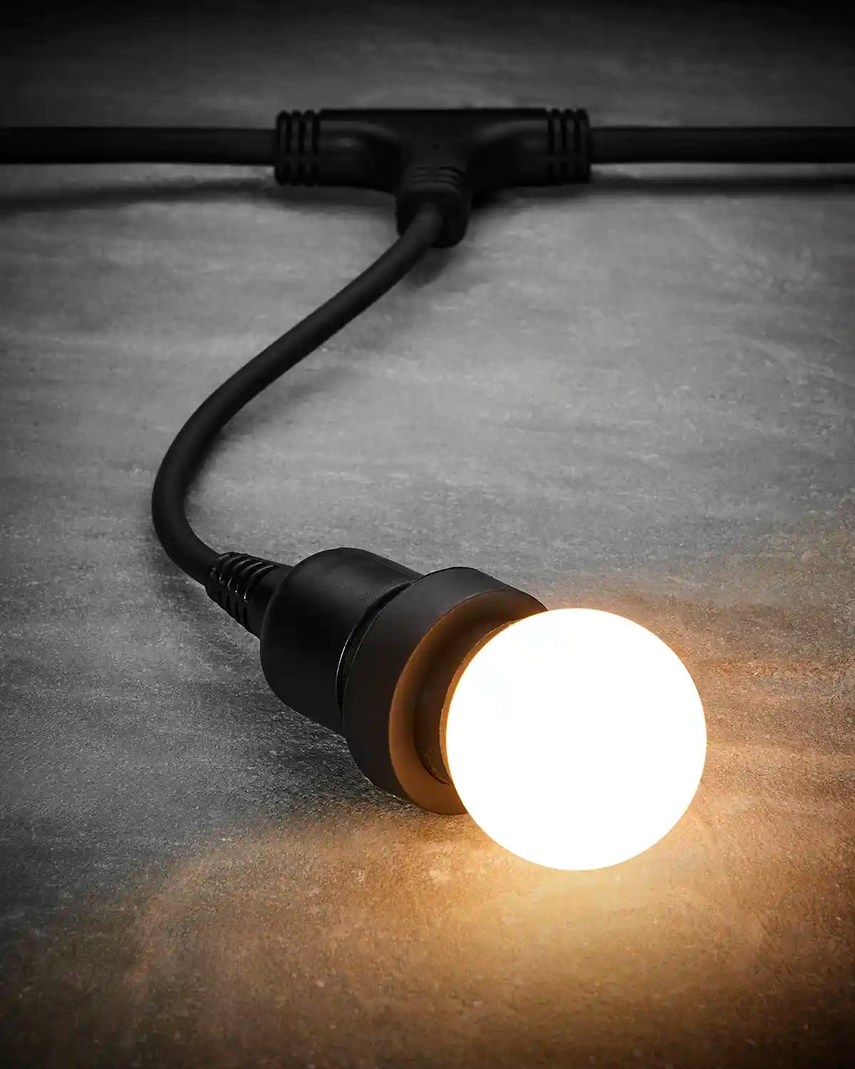 Long drop festoon belt with a warm white bulb fitted into the black E27 socket.