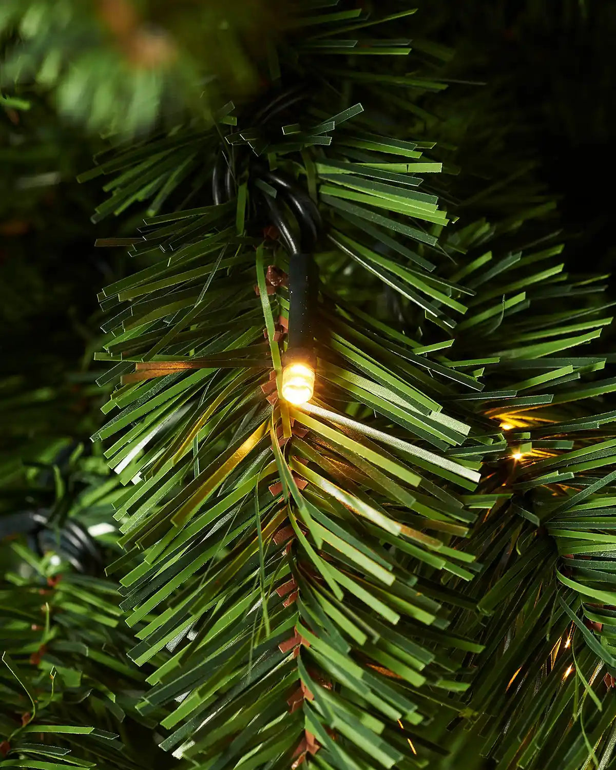 Close-up of a warm white LED light among green Christmas tree branches