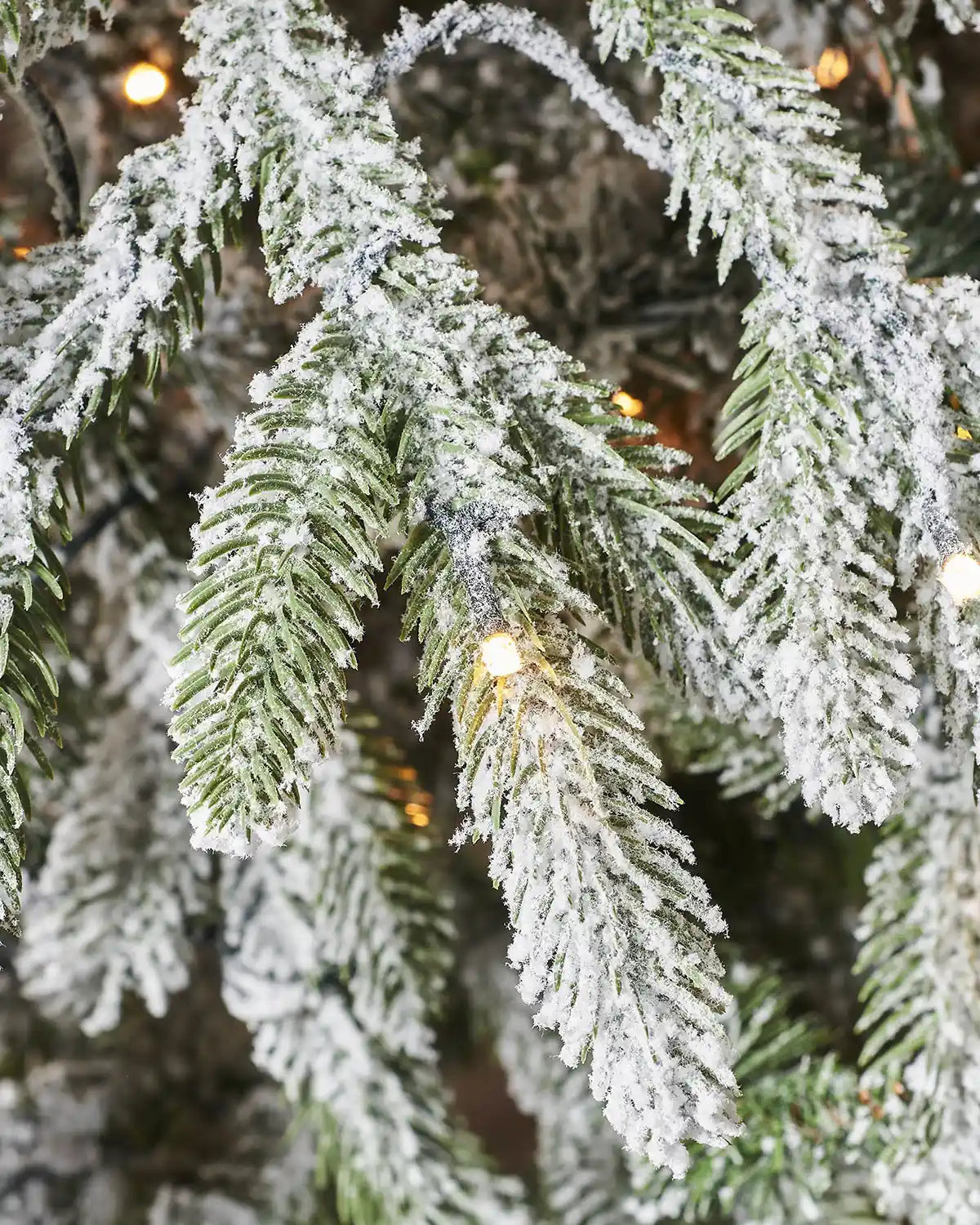 Detailed view of heavily snow flocked Christmas tree foliage with warm lights glowing between the branches