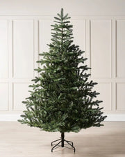 6ft green Nordmann fir Christmas tree displayed indoors against cream wall panelling
