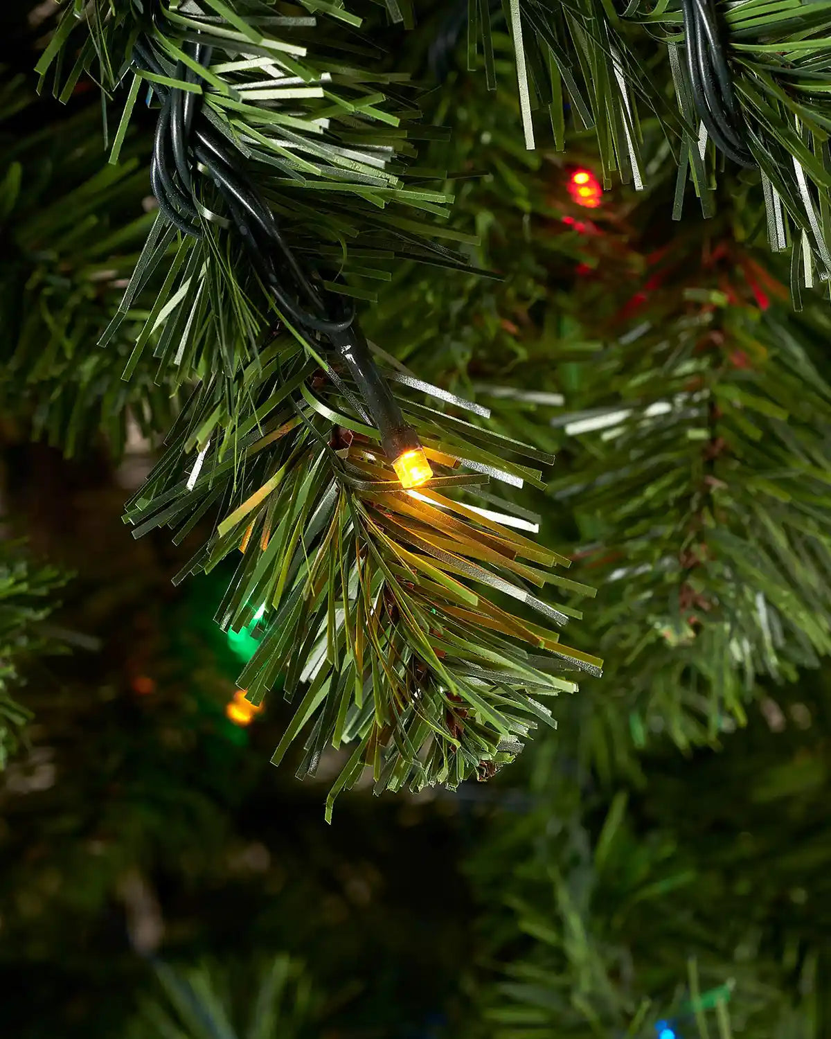 Close-up of a multi-coloured LED light woven through green PVC branches on an emerald spruce tree