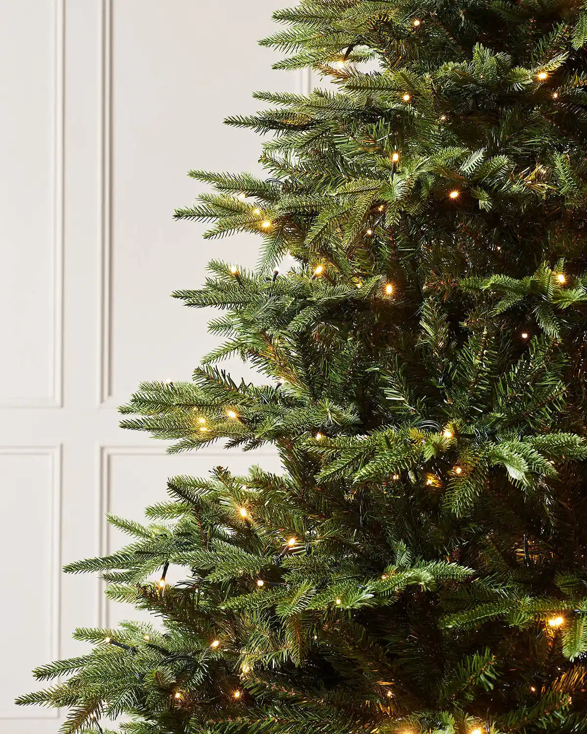 Close-up of green Royal Fir branches with warm white lights and layered foliage