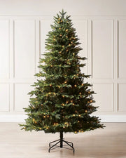 6ft pre-lit Royal Fir Christmas tree with warm white lights displayed indoors against wall panelling