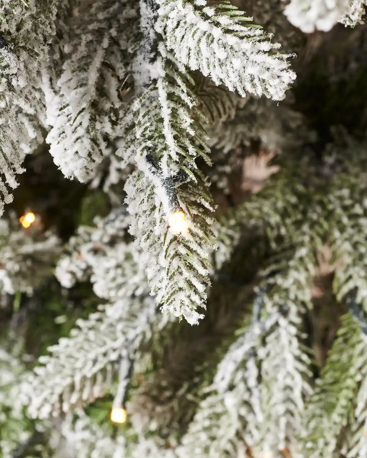 Detailed close-up of flocked Christmas tree branches with warm white lights glowing through the snowy tips