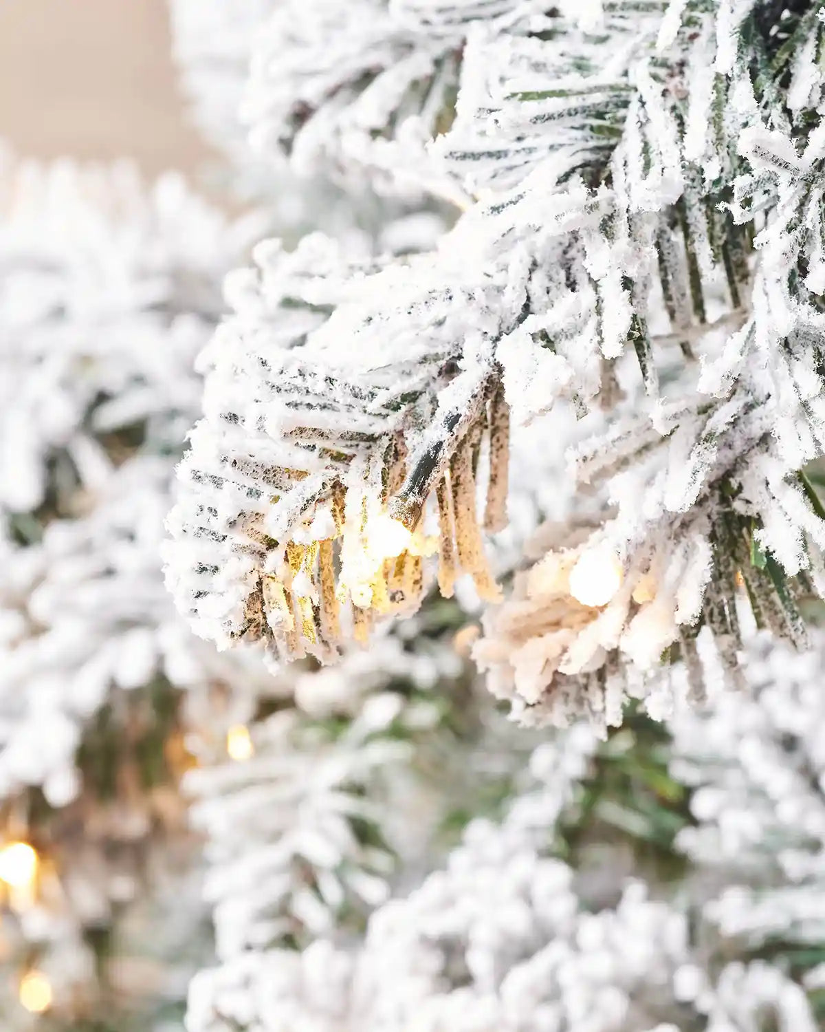 Close-up of warm white LED lights on snow flocked Christmas tree branches