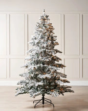 6 ft pre-lit snow flocked Alpine Christmas tree displayed in room