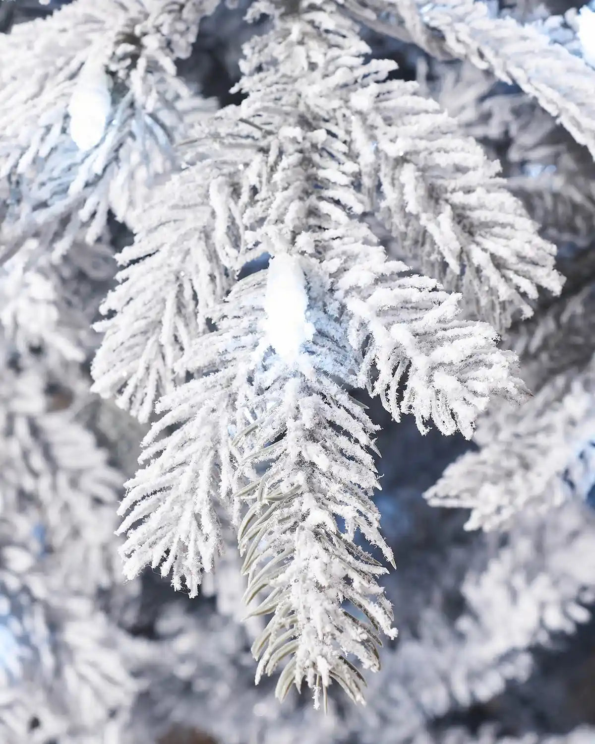 Detailed close-up of heavily snow flocked spruce branches with a cool white LED light