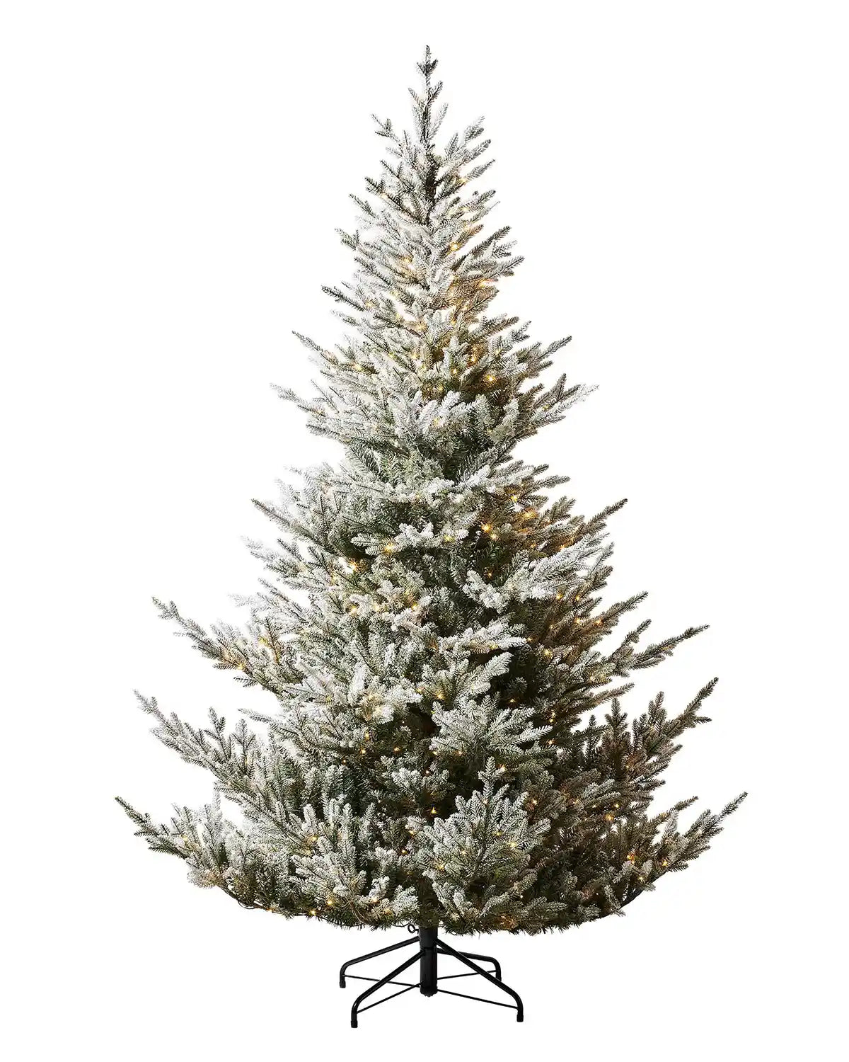6ft Snow Flocked Douglas Fir Christmas Tree with lights on a white background
