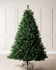 6ft Unlit Victorian Pine Christmas tree with a Black tree stand on a cream panel textured background 