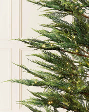 Close-up of 7.5ft pre-lit cypress fir Christmas tree branches with warm white light setting in front of white panelling