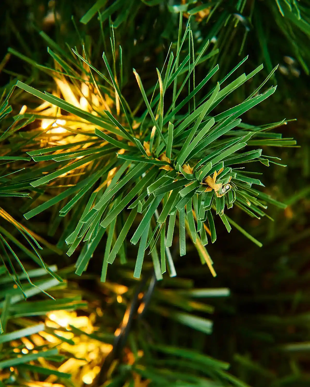 Close-up of a warm white LED light among the green wreath branches