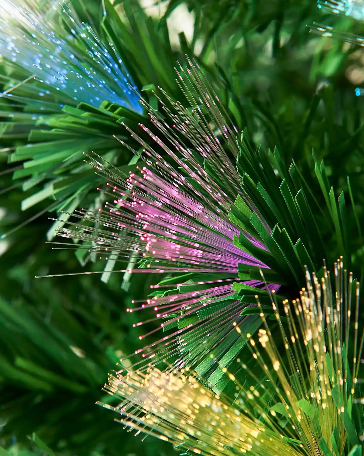 Detailed close-up of multicolour fibre optic strands among green Christmas tree branches