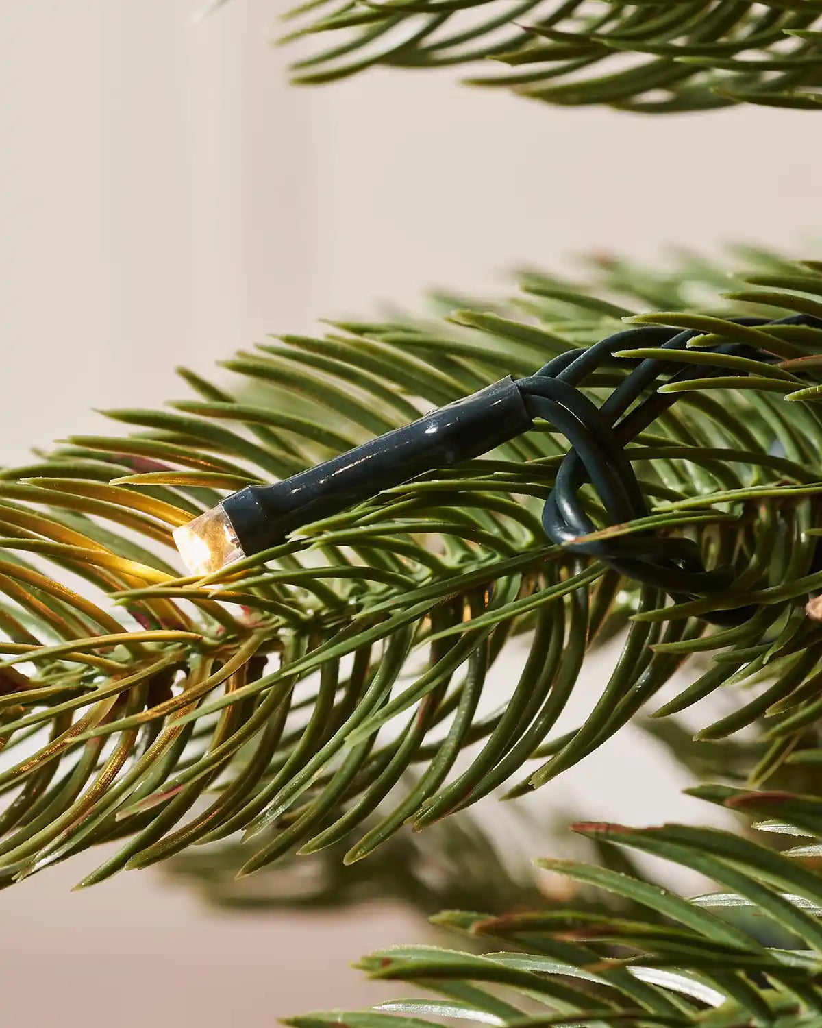 Close-up of a warm white LED light among the realistic green pine branches