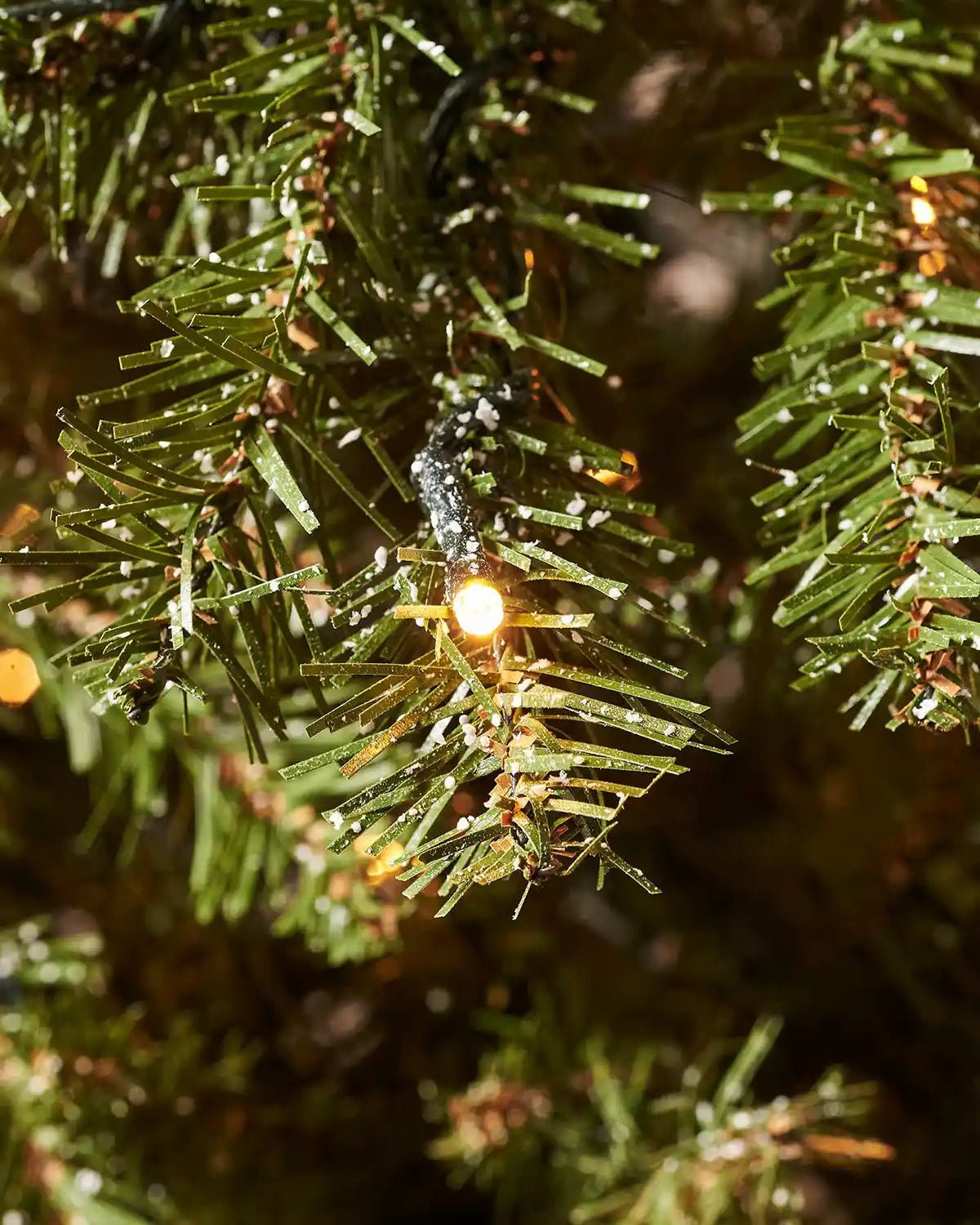 Close-up of a warm white LED light among frosted green Christmas tree branches
