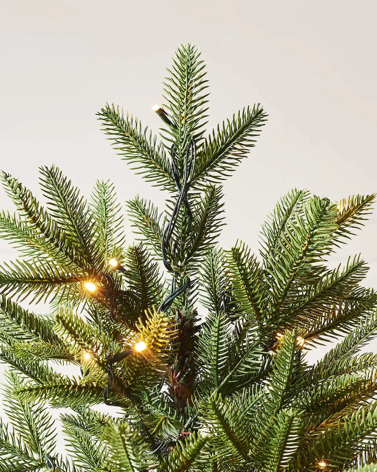 Close-up of the top branches of a 7ft pre-lit green Royal Fir Christmas tree with warm white lights