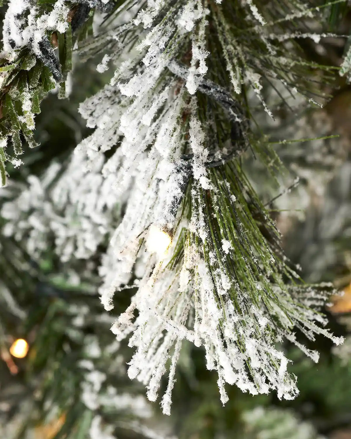 Close-up of heavily snow-flocked spruce needles with warm white lights in the background