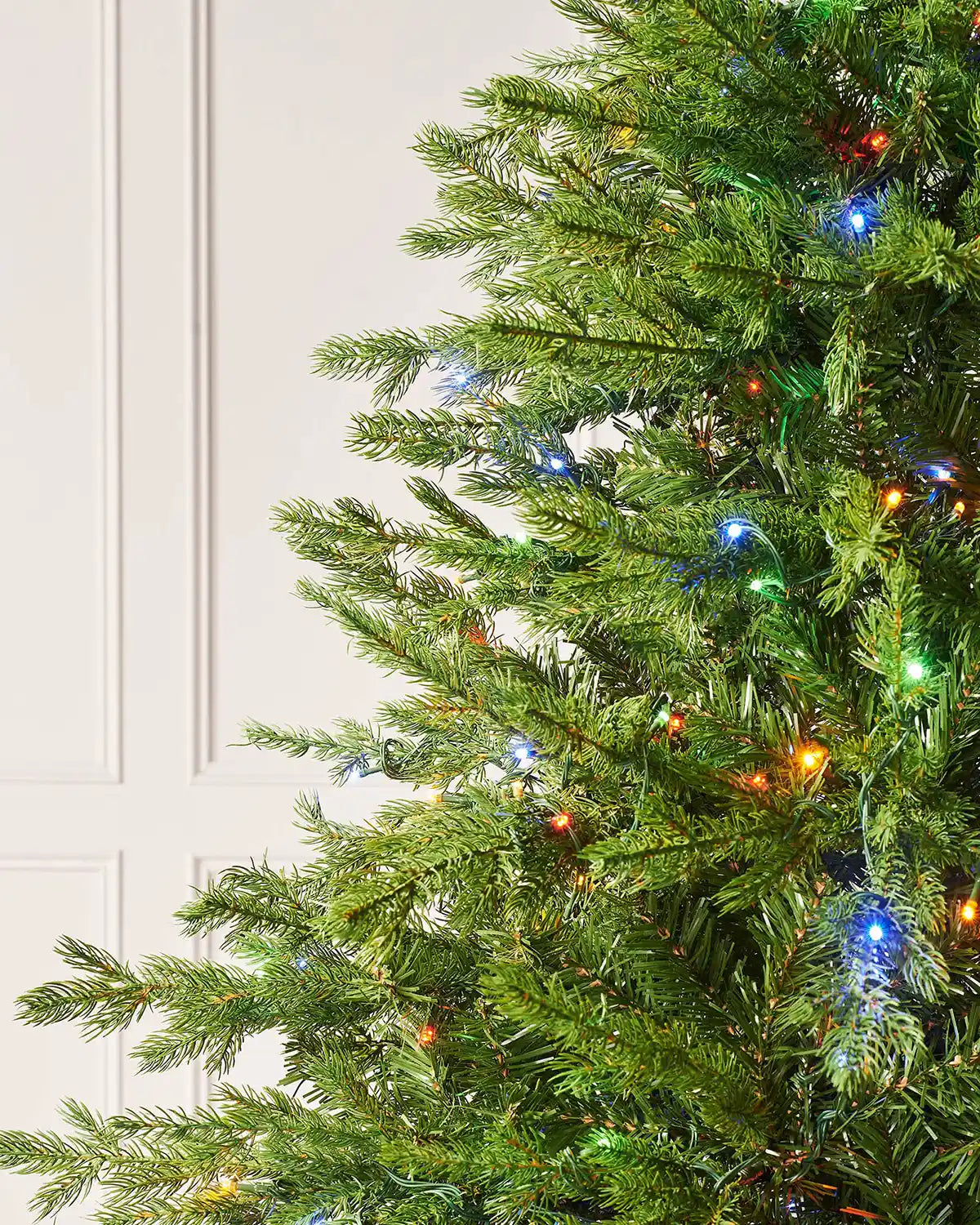 Close-up of 7ft Windsor Fir Christmas tree branches with realistic green PE and PVC tips, dual colour LEDs and multicolour lights woven through the foliage