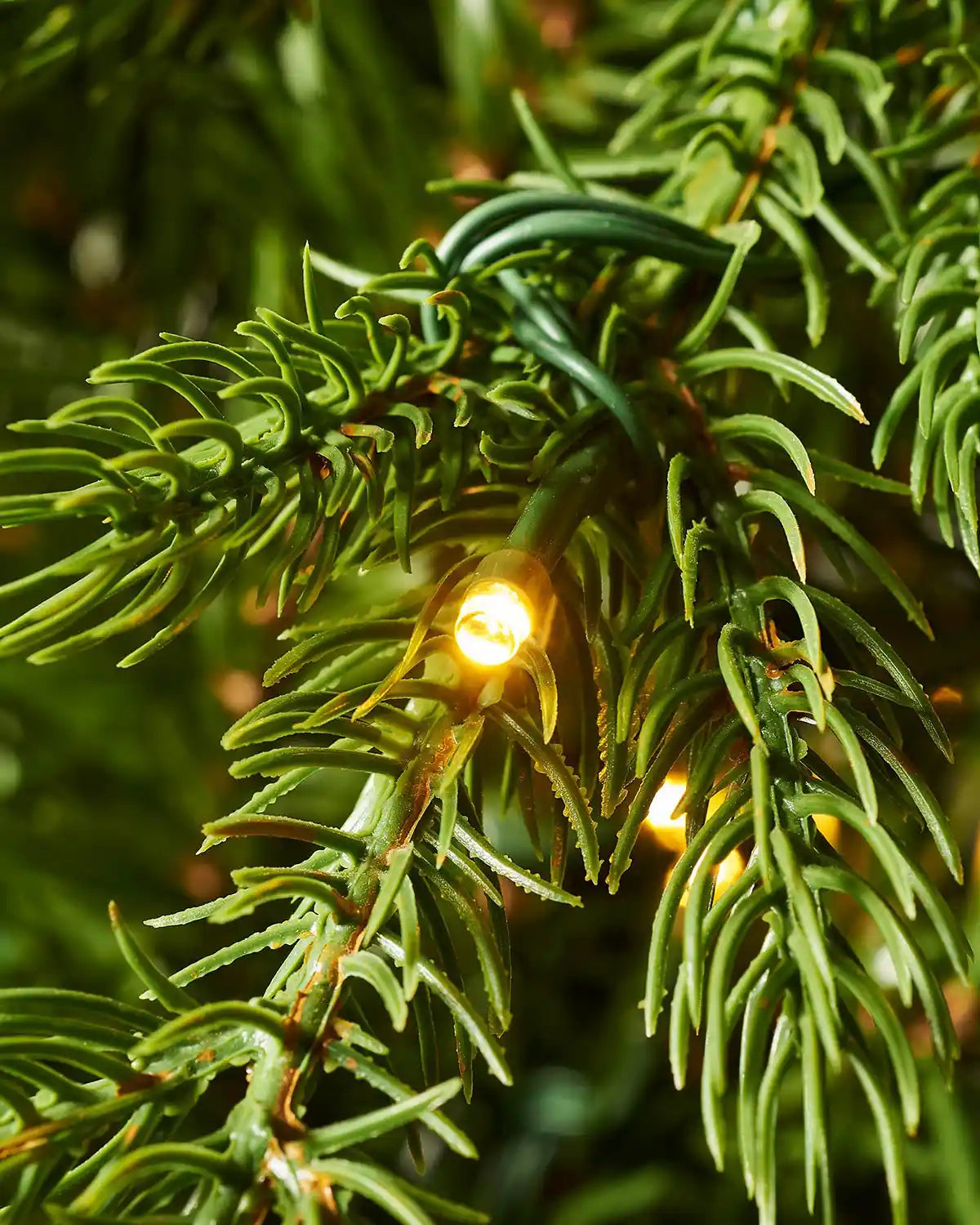Macro close-up of 7ft pre-lit Windsor Fir tree branch with warm white LED light, realistic green fir needles and integrated Christmas light cable
