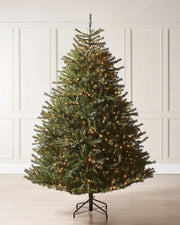 7ft Christmas tree with lights against a cream panel wall.