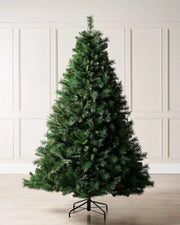 7ft Unlit Victorian Pine Christmas tree with a Black tree stand on a cream panel textured background 
