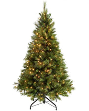 7ft Victorian Pine Christmas tree with lights and Black tree stand on a white background
