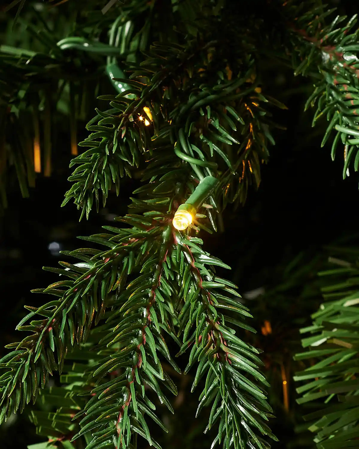 Detailed close-up of 8ft Grand Alaskan Fir Christmas tree foliage with textured green branch tips and glowing warm white LED lights.