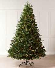 8ft pre-lit green Grand Alaskan Fir Christmas tree with warm white lights displayed indoors