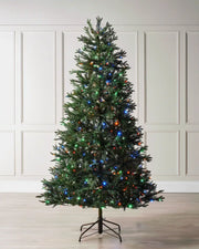 8 ft mixed pine Christmas tree displayed with multicolour LED lights