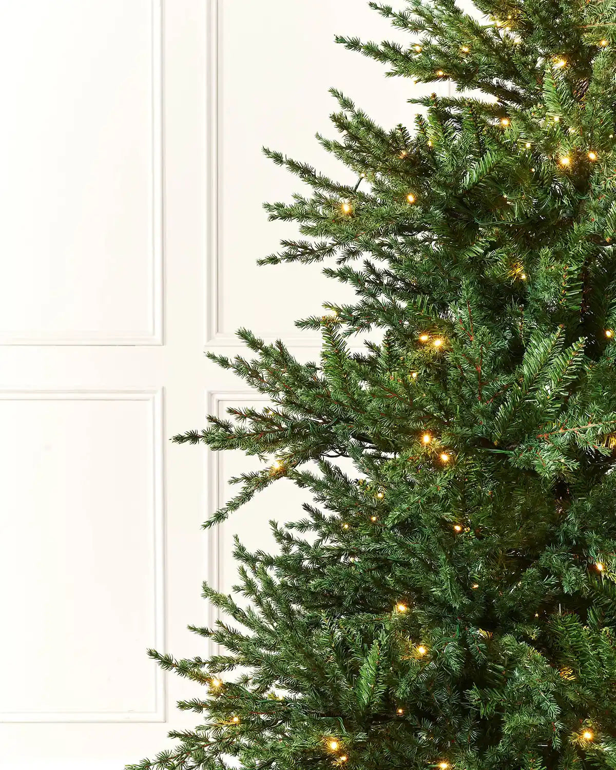 Branch detail of a pre-lit traditional fir Christmas tree with warm white LEDs