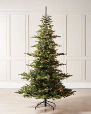 8ft Christmas tree with lights on a cream panel background