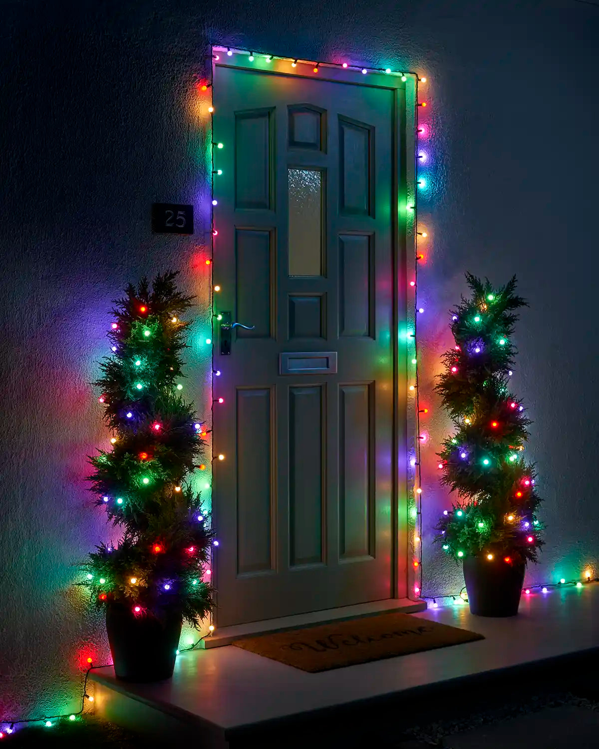 Multi-coloured berry lights decorating a front door and two potted trees.