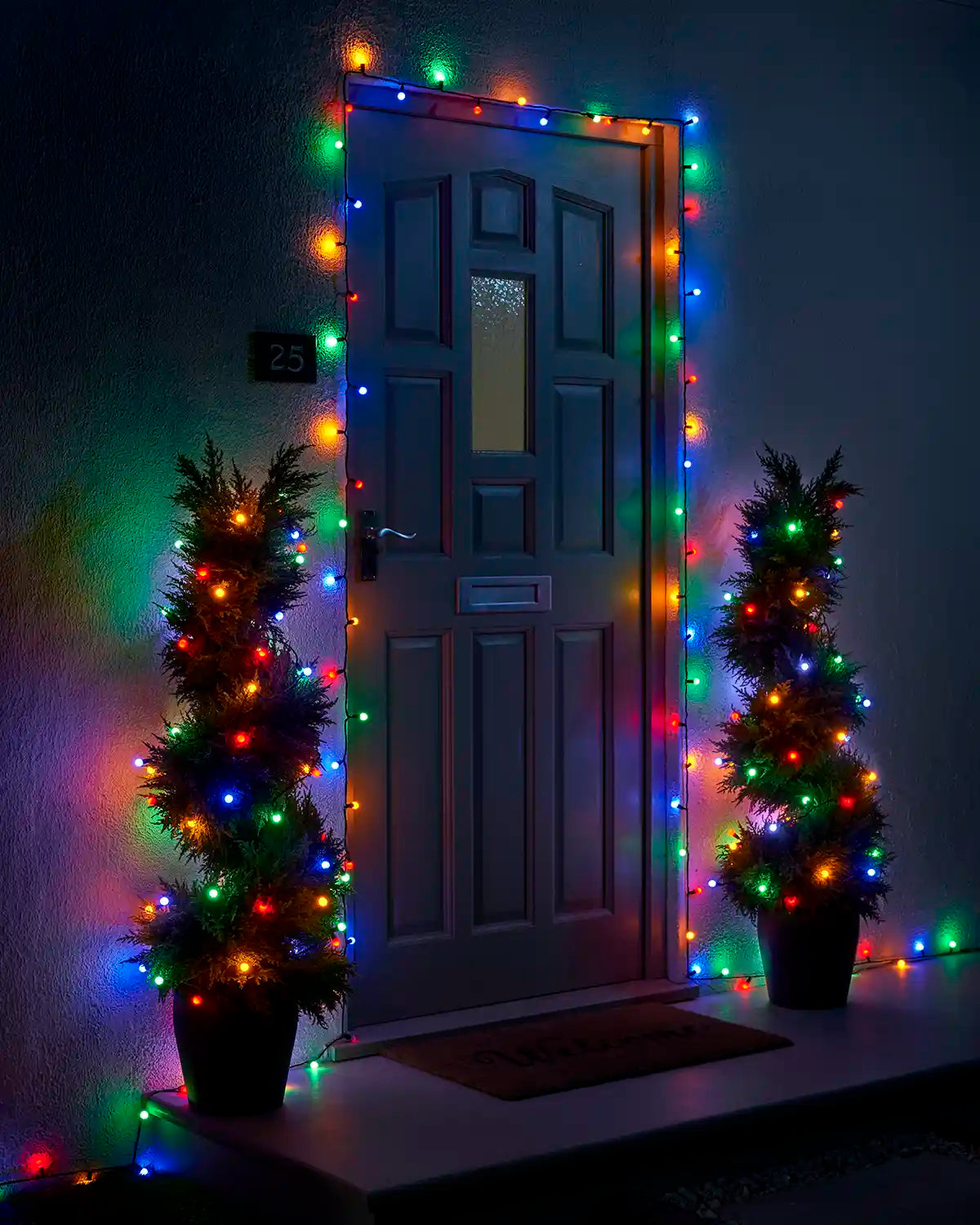 Multicolour berry lights decorating a front door and two potted trees.