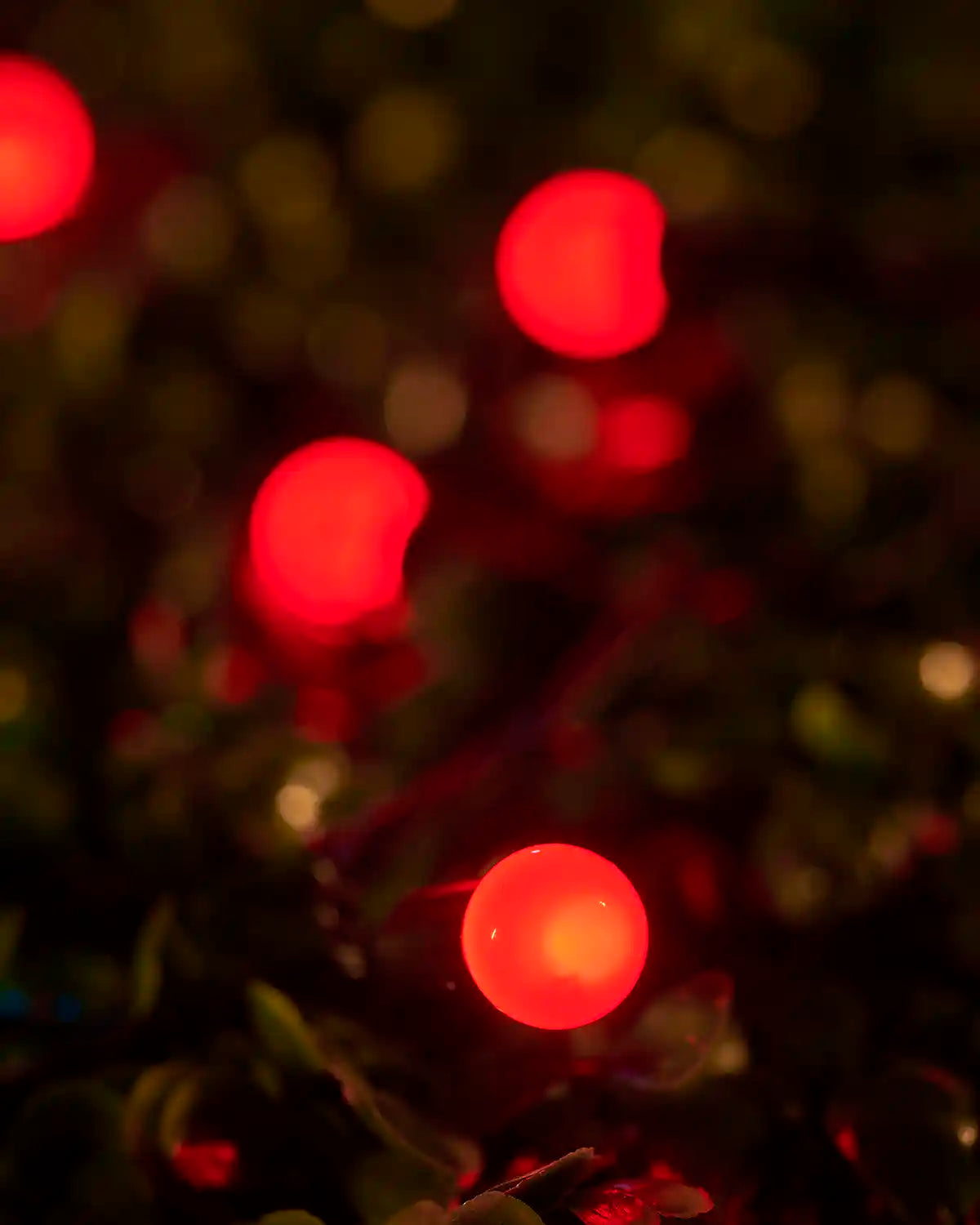 Close-up of a red berry light nestled among green leaves.