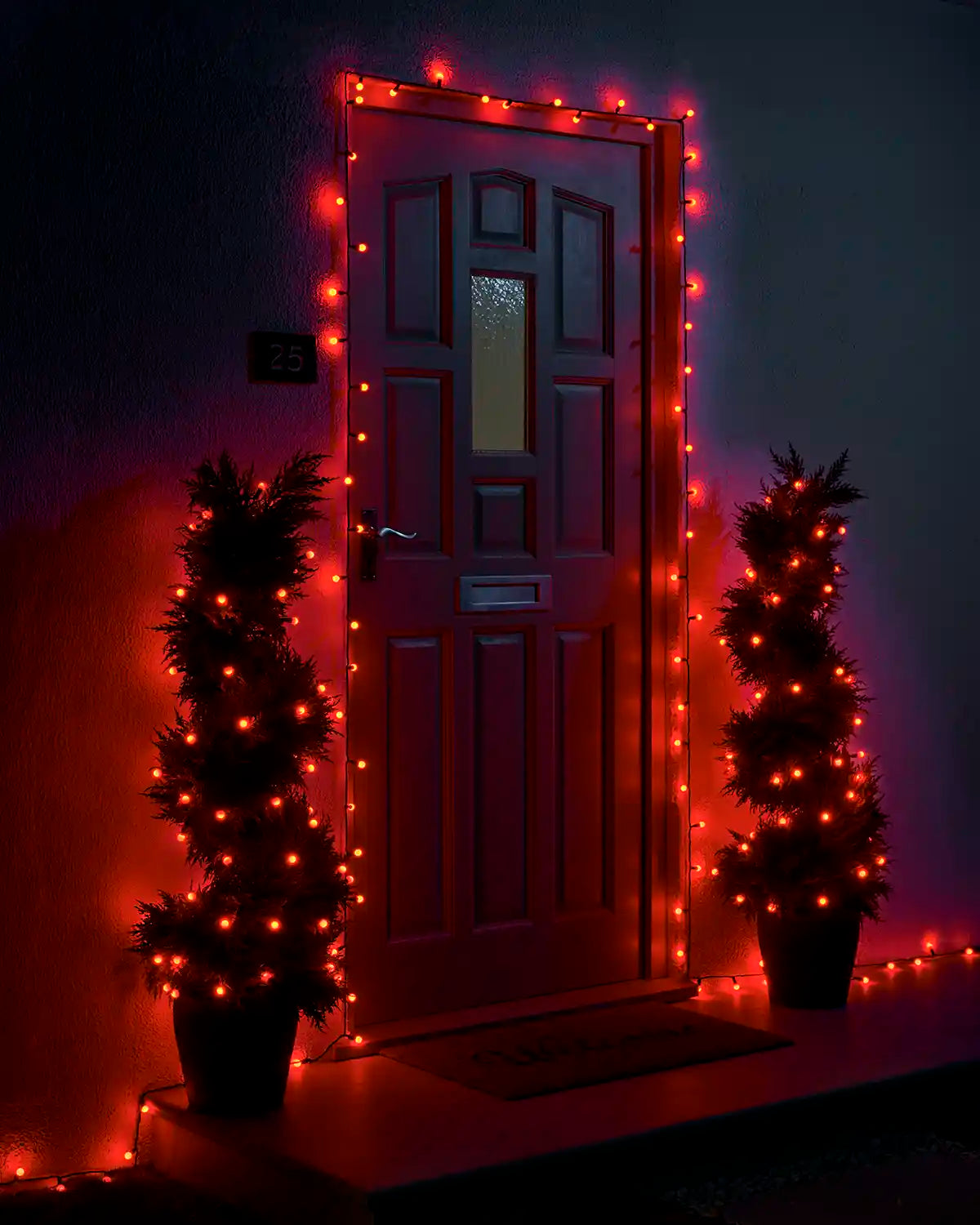 Red berry lights decorating a front door and two potted trees.