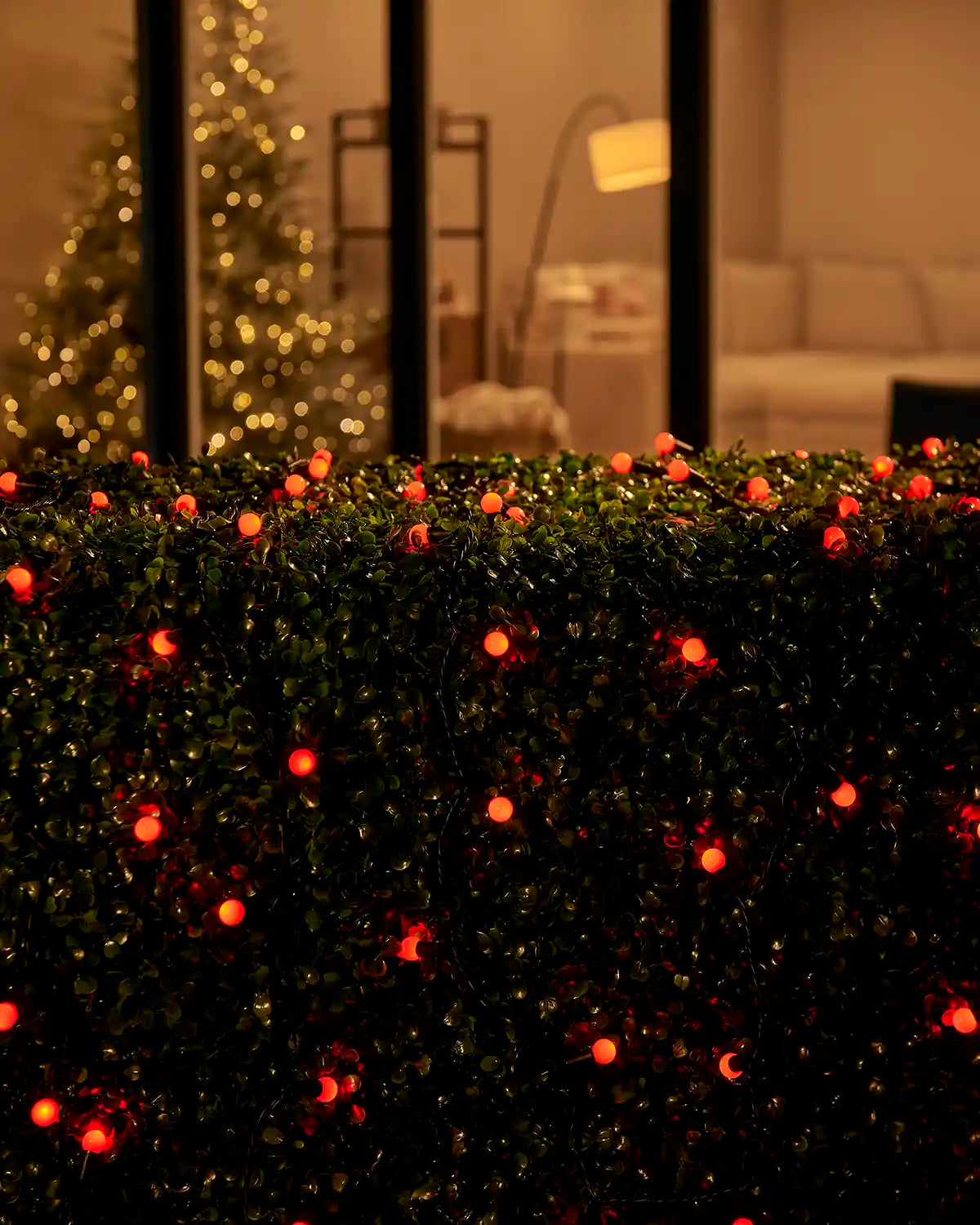 Red berry lights displayed across a hedge outside a home window.