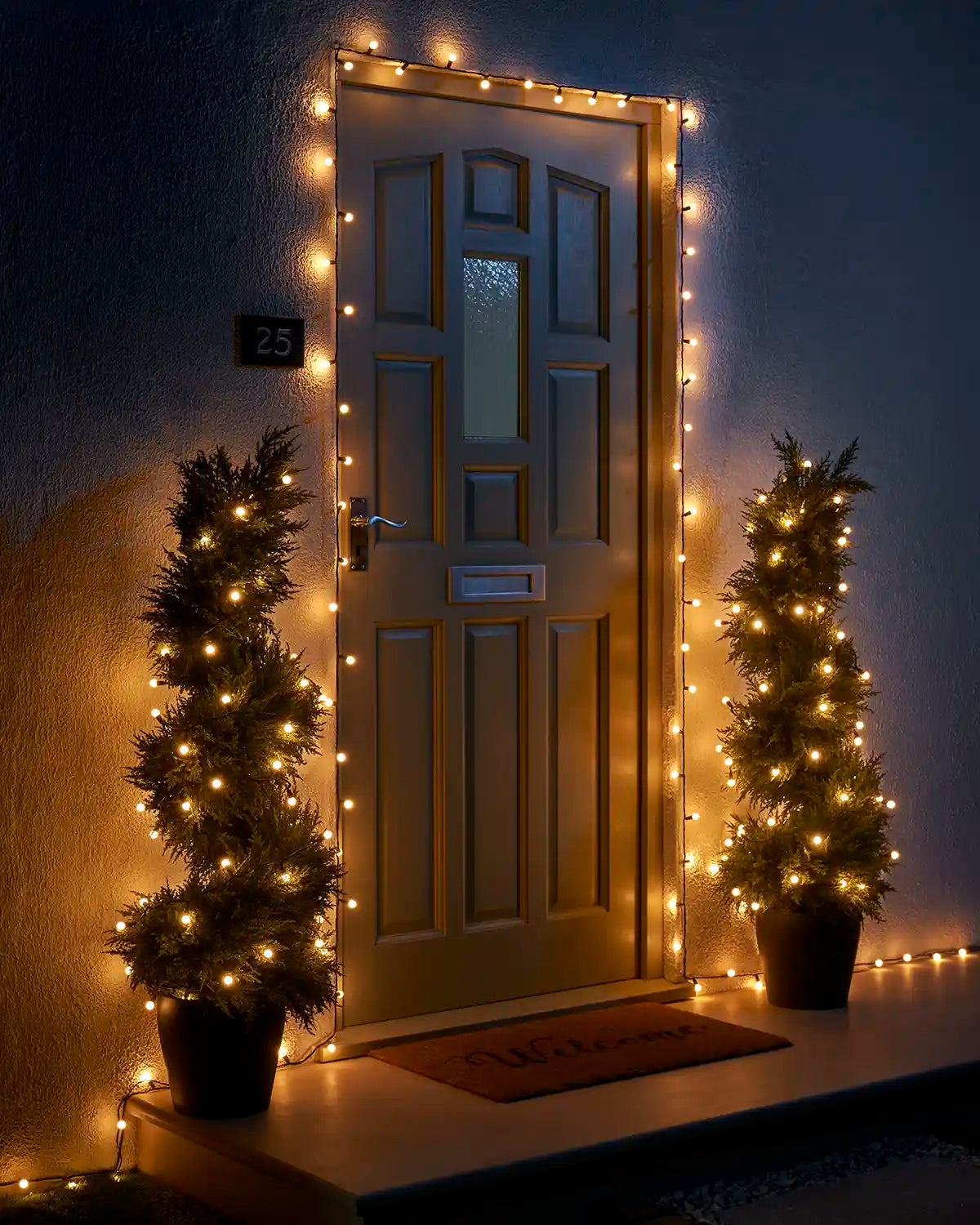 Warm white berry lights decorating a front door and two potted trees.