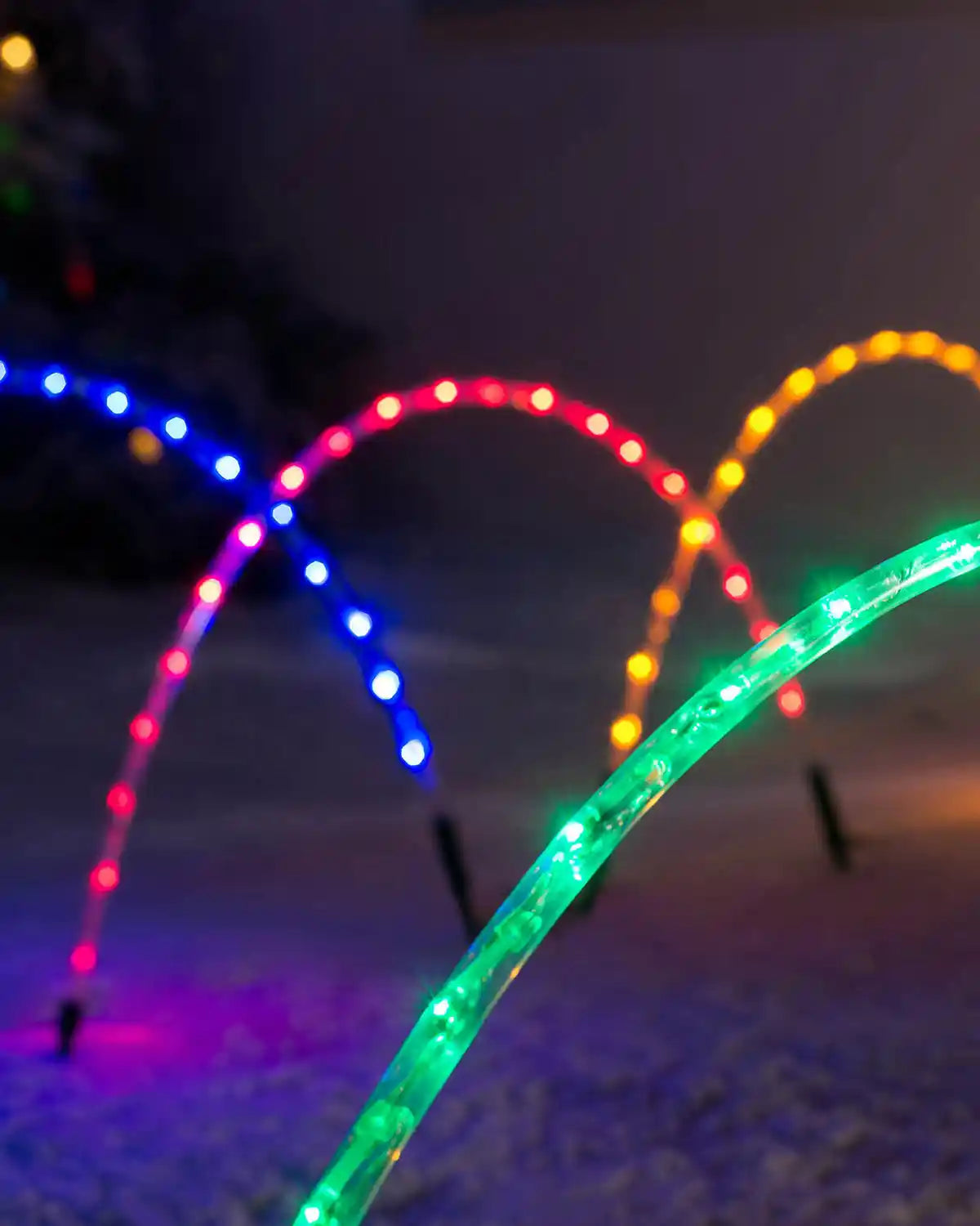 Close-up of glowing multicolour LED arch pathway lights in red, blue, green and yellow for outdoor Christmas garden decoration