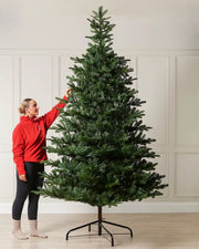9ft Nordmann fir Christmas tree shown indoors beside a person for scale
