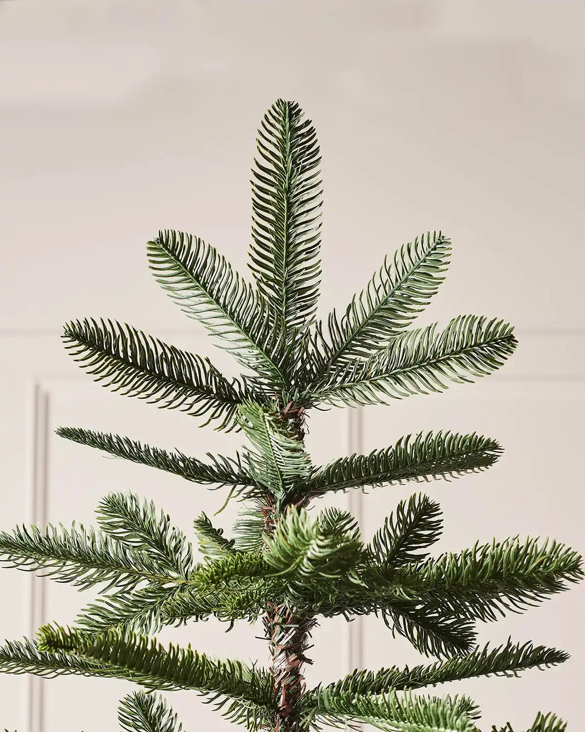 Top section of a 9ft Nordmann fir Christmas tree with layered green branches