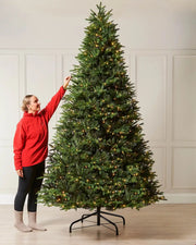 9ft pre-lit Royal Fir Christmas tree with warm white LEDs, shown indoors beside a person for scale.