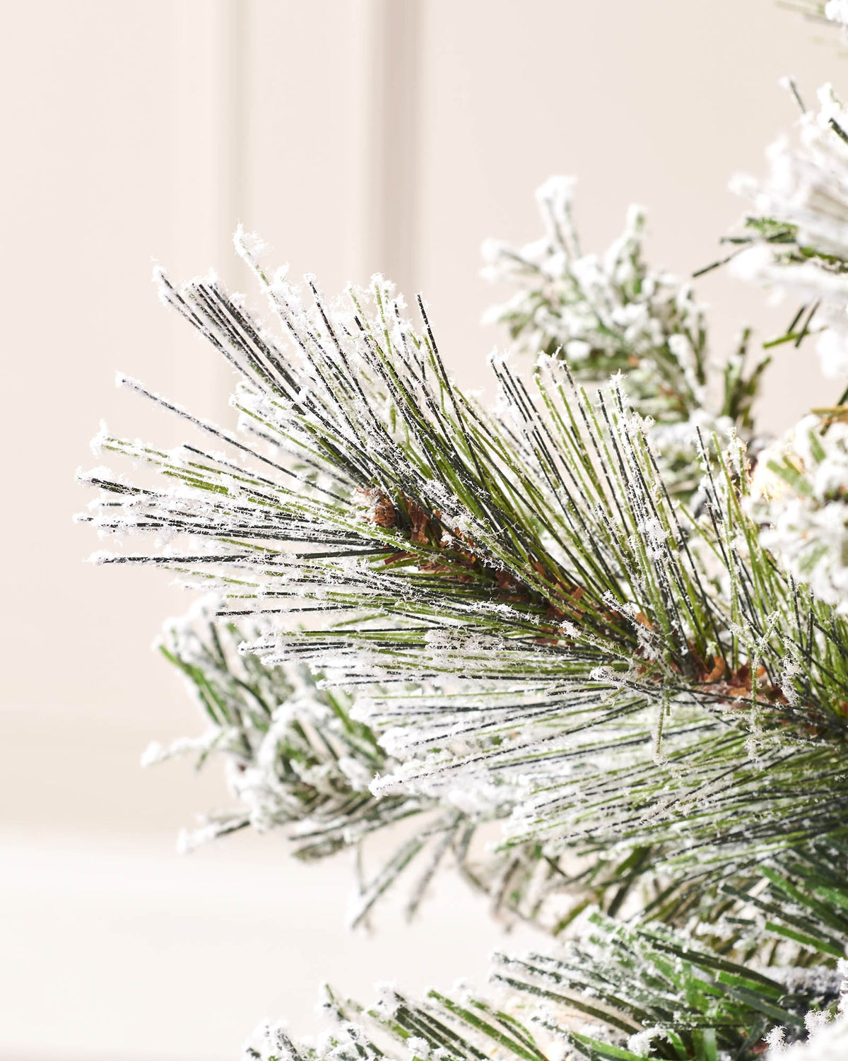 Detailed close-up of snow flocked pine-style branch tips on a 9 ft spruce Christmas tree.