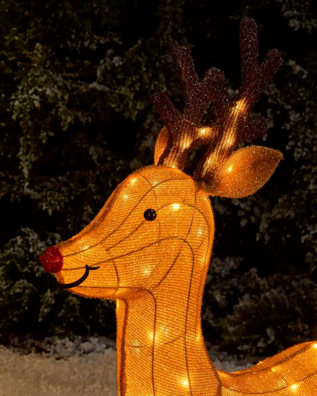 A golden mesh reindeer light decoration with warm white string lights, a red nose, and dark brown antlers, photographed outdoors against dark evergreen foliage.