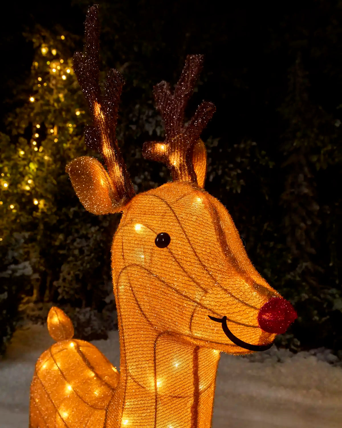 A golden wire-frame reindeer light decoration with warm white string lights, a red nose, and dark brown antlers, photographed outdoors at night against snowy trees.