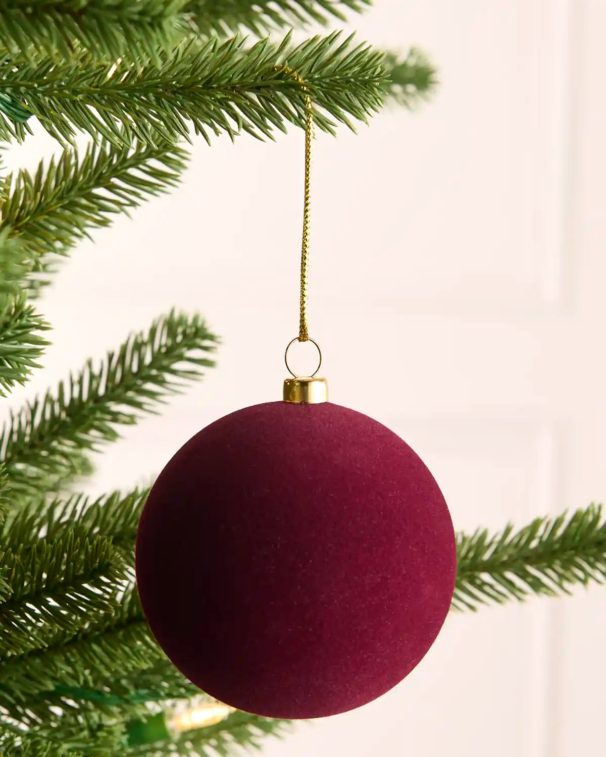 A velvet burgundy Christmas bauble ornament hanging from a green pine tree branch with a gold hanger.
