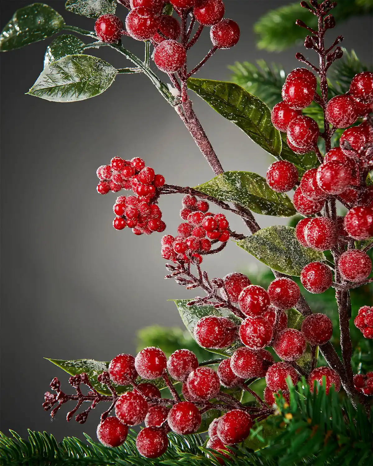 Additional close-up of frosted red berries spray on Christmas tree in front of grey wall background