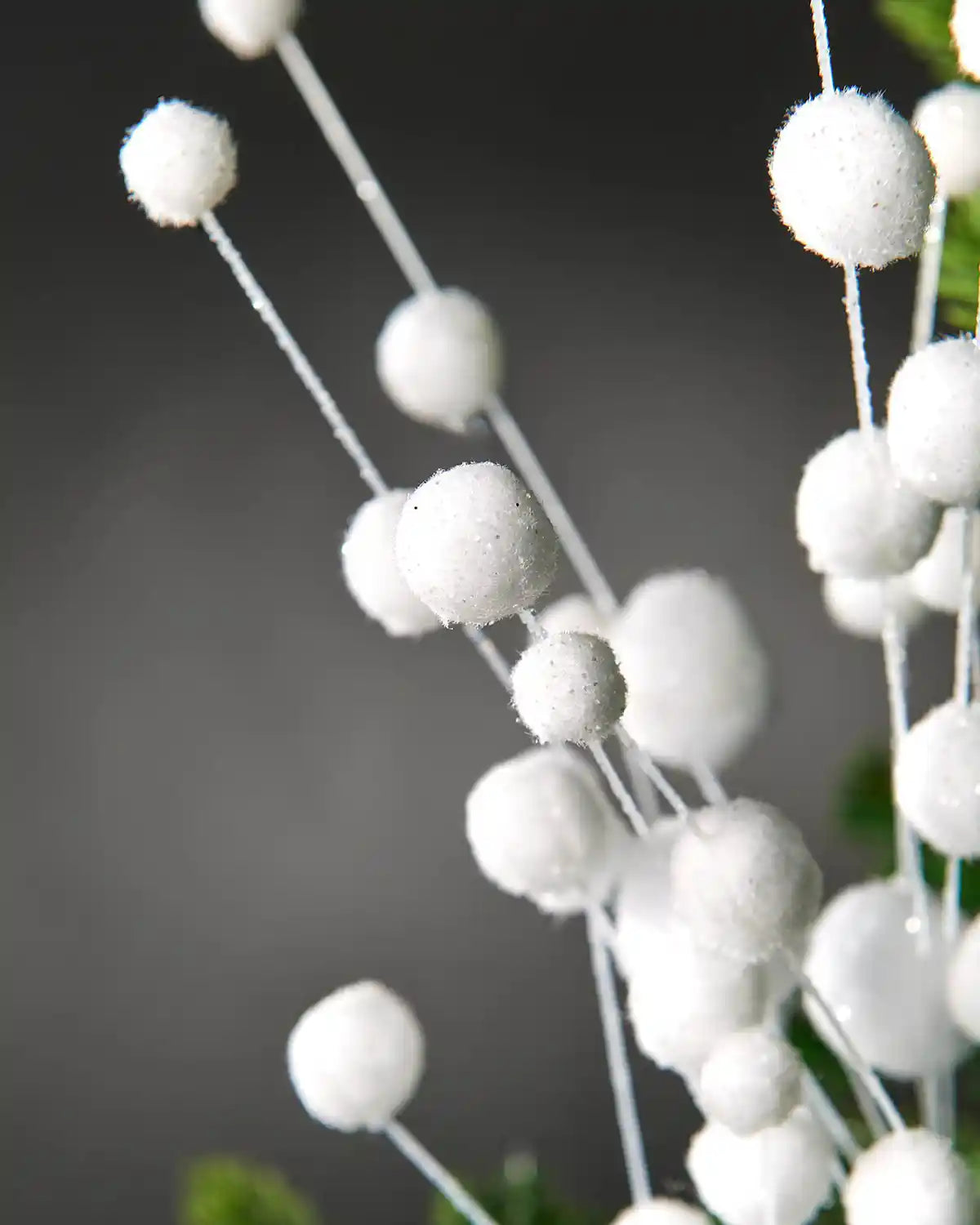 Alternative close-up of white snowball spray in front of grey wall background