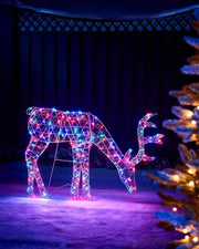 Aroura coloured LED doe grazing on snowy grass against a dark background