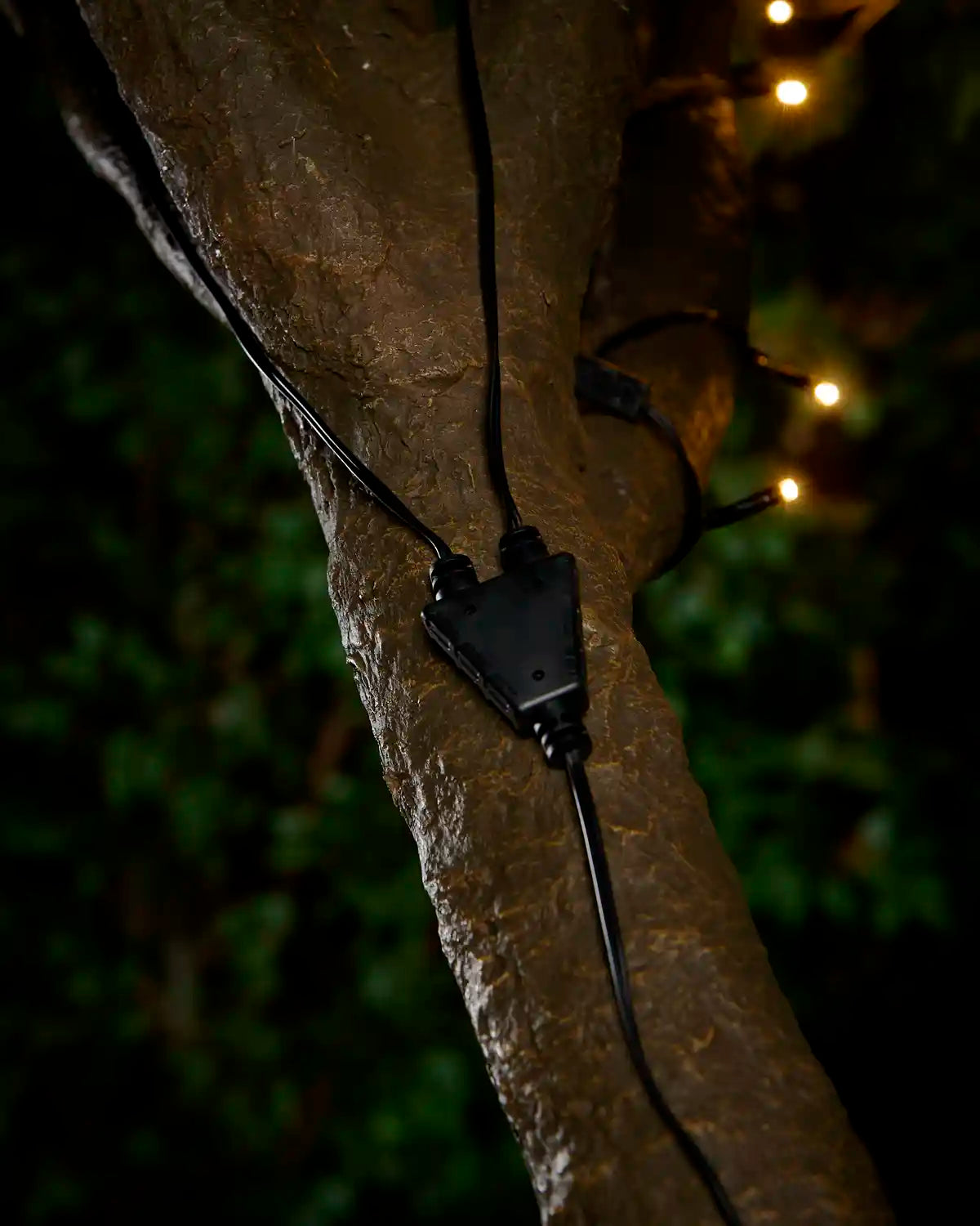 Black Y Cord Connector attached to a tree with warm white LED lights. 