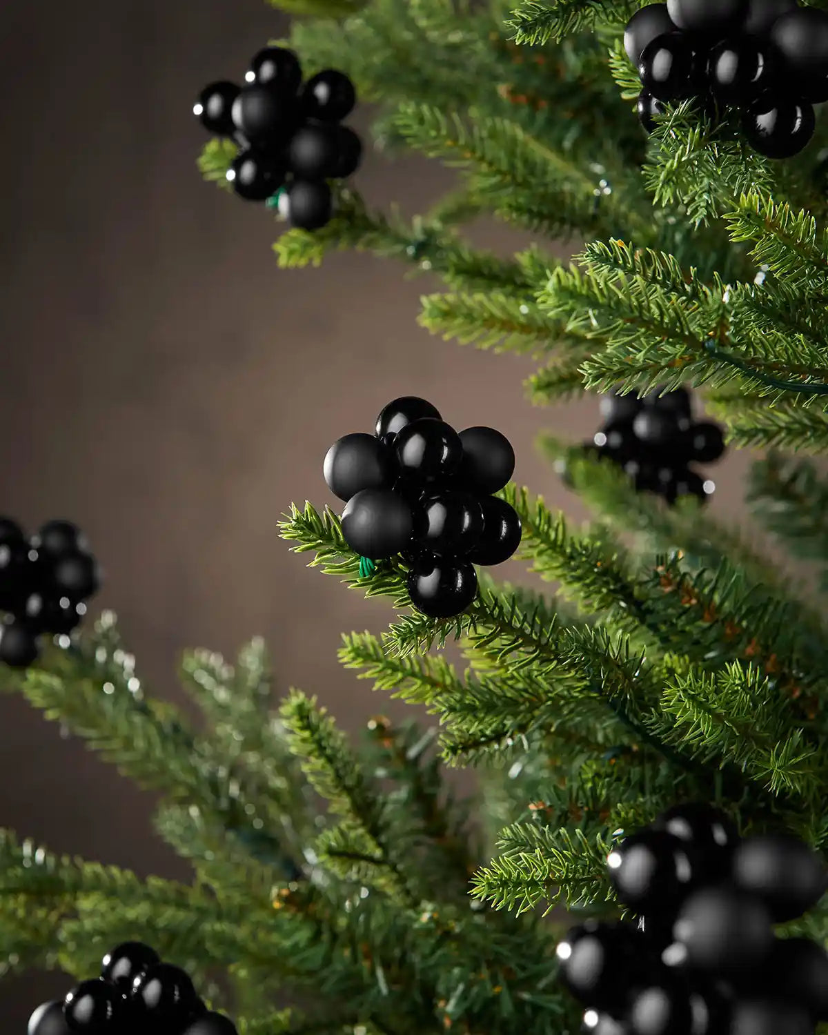 Black berry cluster baubles on a tree with a brown blurry background